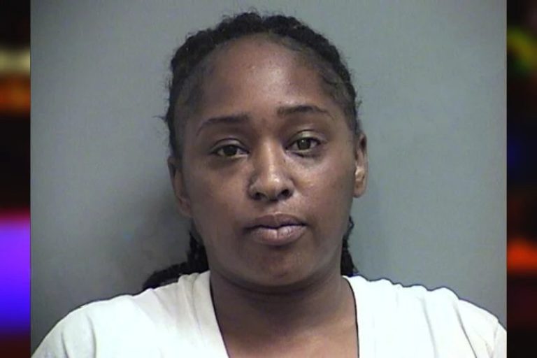 Jeffrica Hollis mugshot – Effingham County , Georgia Jeffrica Hollis