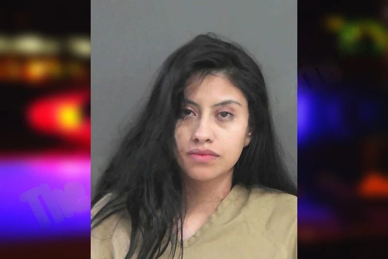 Jennassess Reyes Mugshots