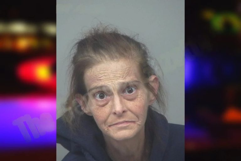 Jennifer Bryant mugshot – Oconee County , Georgia Jennifer Bryant