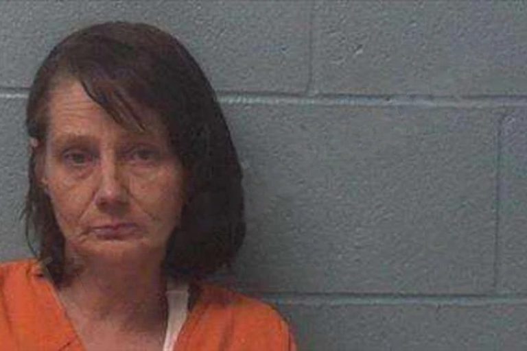 Jennifer Davis mugshot – Franklin County , Georgia Jennifer Davis