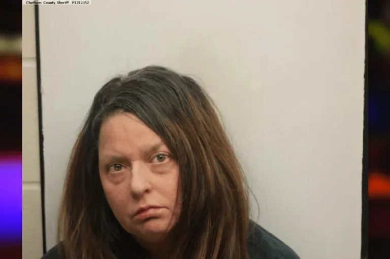 Jennifer Faber-Gross mugshot – Gwinnett County , Georgia Jennifer Faber-Gross