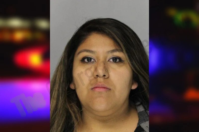 Jennifer Garcia mugshot – Hall County , Georgia Jennifer Garcia mugshot