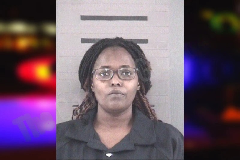 Jennifer Gardner mugshot