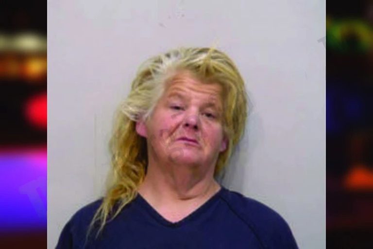 Jennifer Gibson mugshot – Bartow County , Georgia Jennifer Gibson