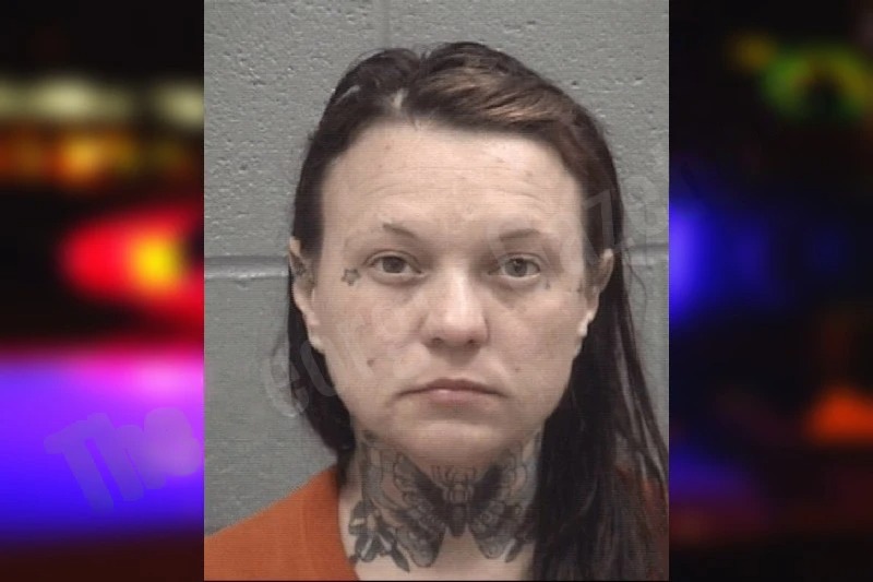 Jennifer Johnson Mugshots