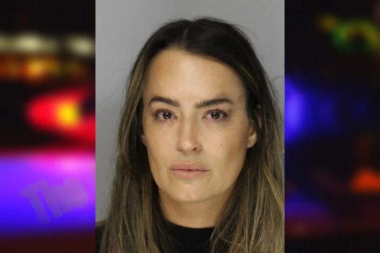 Jennifer Wessling mugshot – Hall County , Georgia Jennifer Wessling