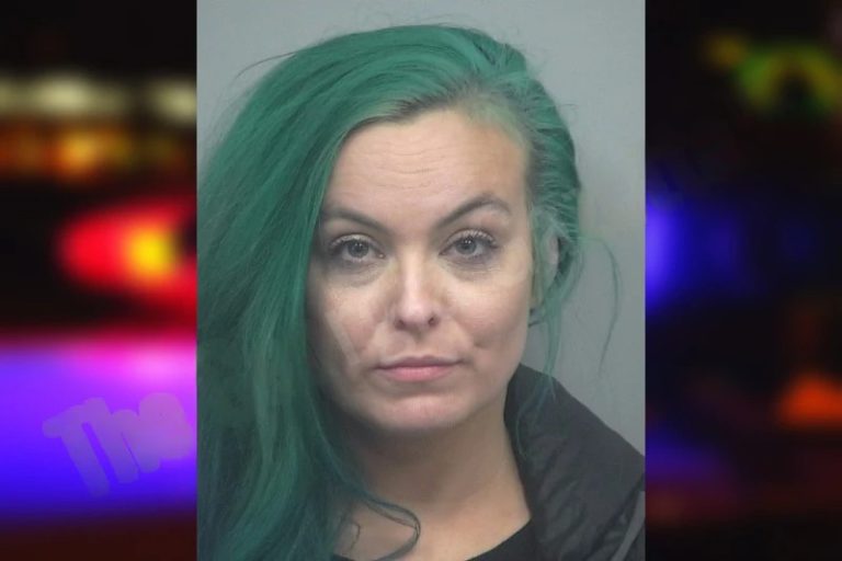 Jennifer Wolf mugshot – Henry County , Georgia Jennifer Wolf