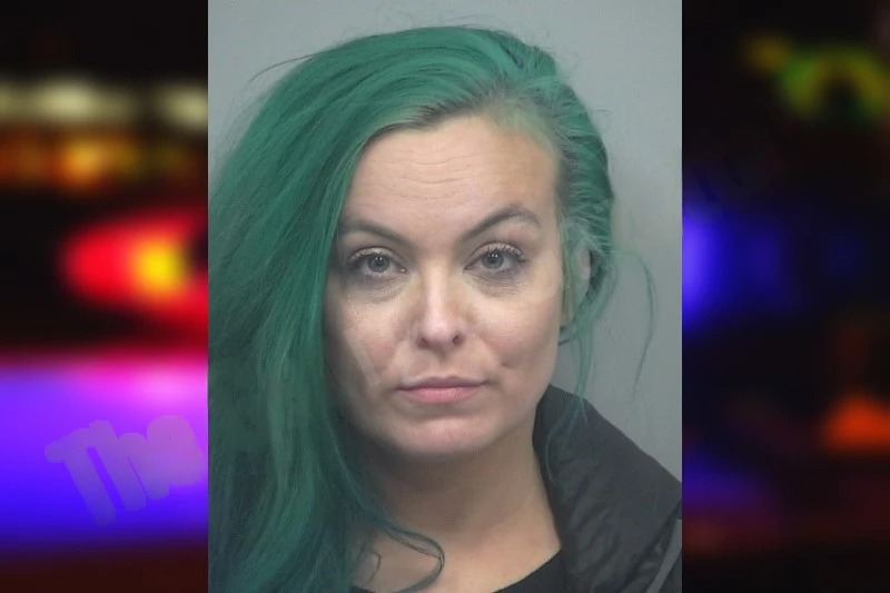 Jennifer Wolf mugshot – Gwinnett County , Georgia Jennifer Wolf mugshot