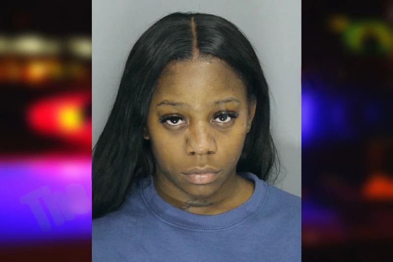 Jermiya Pledger mugshot – Cobb County , Georgia Jermiya Pledger mugshot