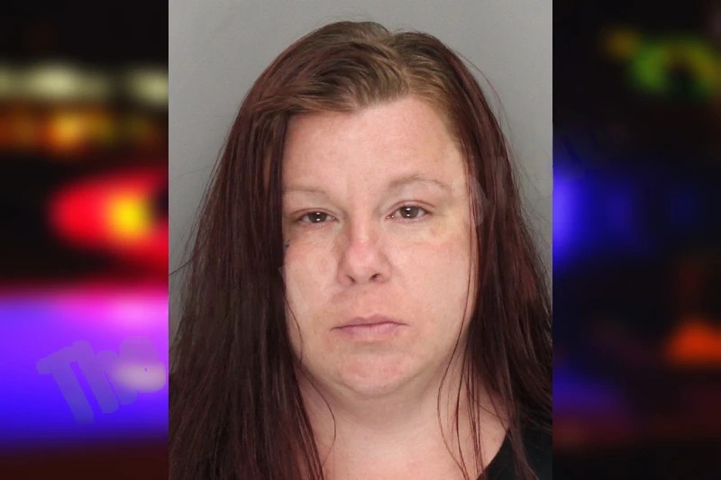 Jessica Bailey Mugshots