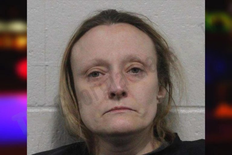 Jessica Dawkins mugshot – Habersham County , Georgia Jessica Dawkins