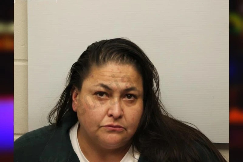 Jessica Elliott-Ortiz mugshot