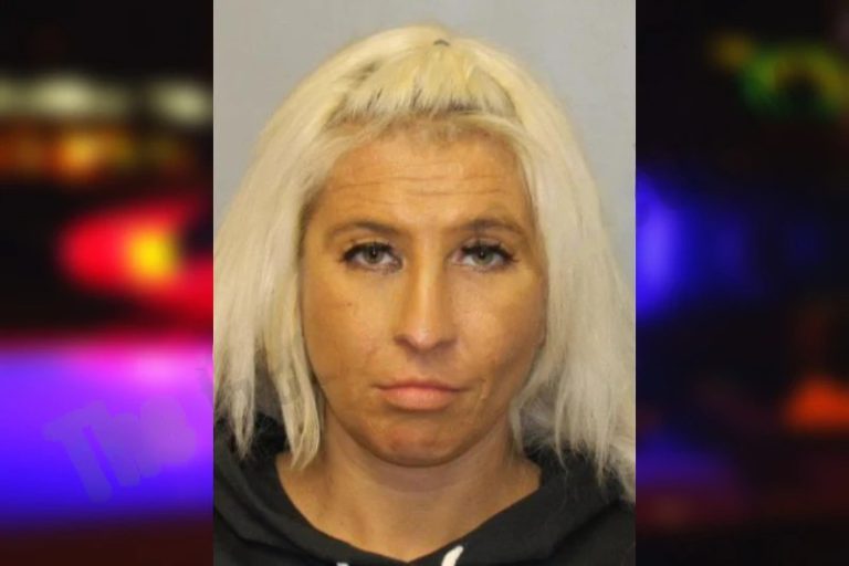 Jessica Hamilton mugshot – Hall County , Georgia Jessica Hamilton