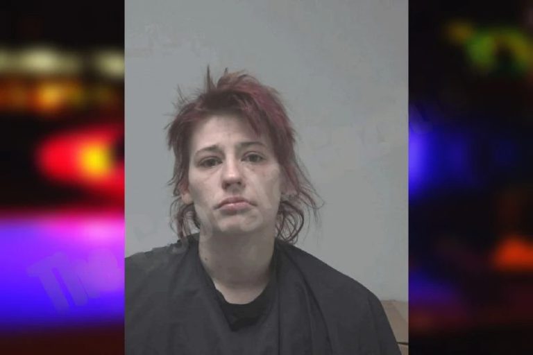 Jessica McMillian-Cohran mugshot – Coweta County , Georgia Jessica McMillian-Cohran