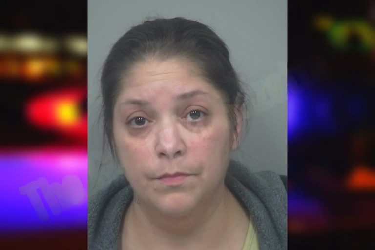 Jessica Mercado mugshot – Gwinnett County , Georgia Jessica Mercado