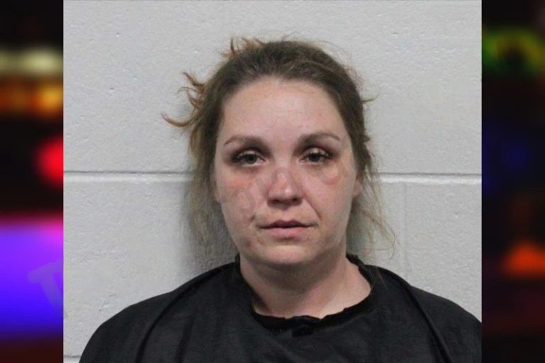 Jessica Miller mugshot β Habersham County , Georgia Jessica Miller