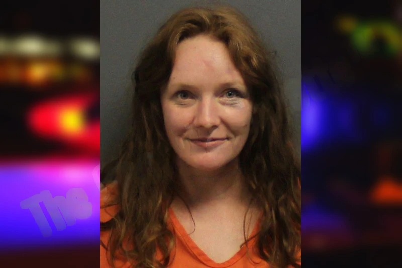 Jessica Protasio Mugshots