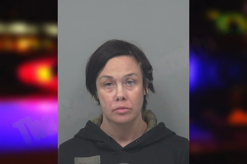 Jessica Turner mugshot – Gwinnett County , Georgia Jessica Turner mugshot