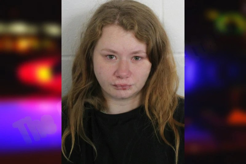 Jessica Virta Mugshots