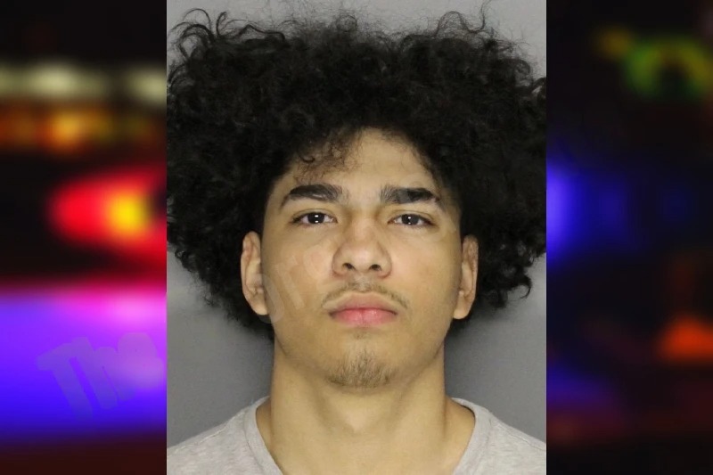 Jhordy Serrano Mugshots