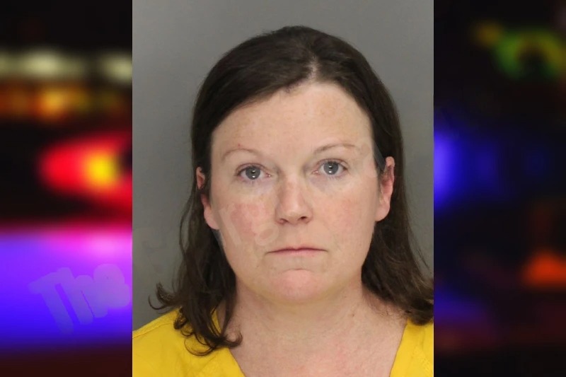 Jillian Norris Mugshots