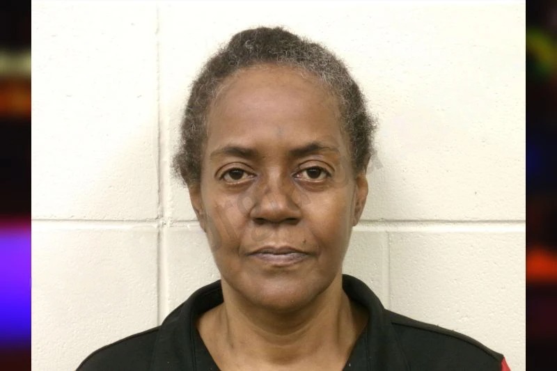 Joan Murray mugshot – Bulloch County , Georgia Joan Murray mugshot