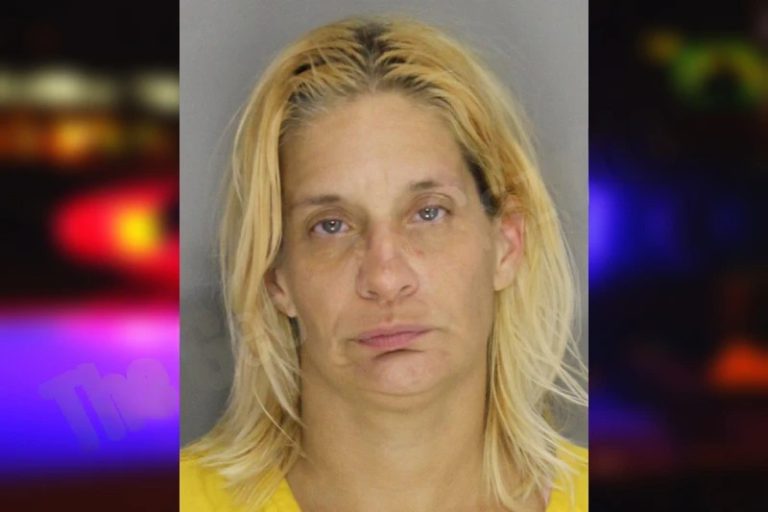 Joanne Washklovitch mugshot – Lumpkin County , Georgia Joanne Washklovitch
