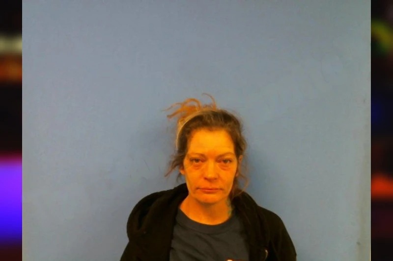 Jodi Dennis Mugshots