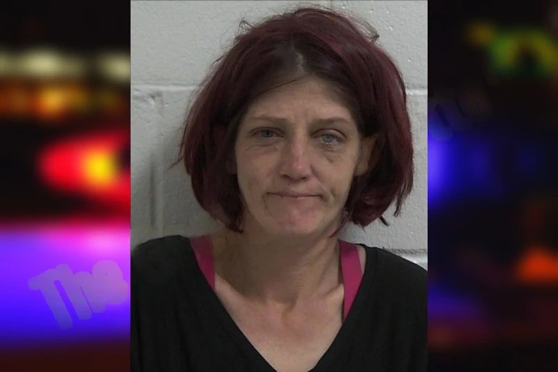 Jodie Ninteau Mugshots