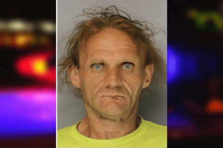 John Reece mugshot – Hall County , Georgia John Reece