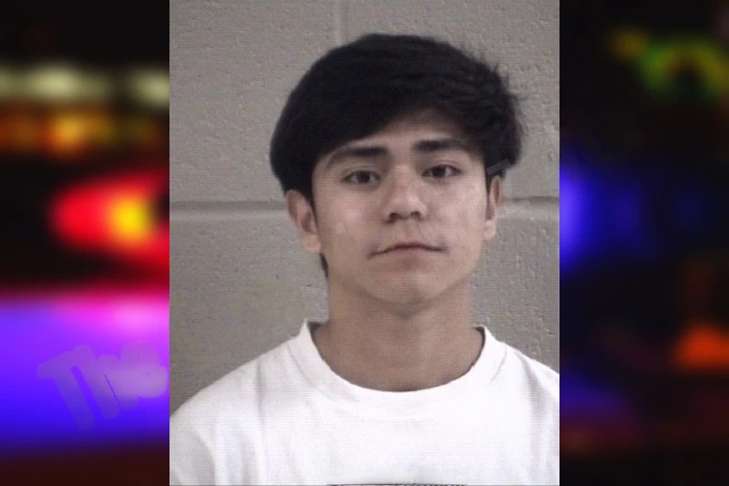 Johnny Mendiola Mugshots