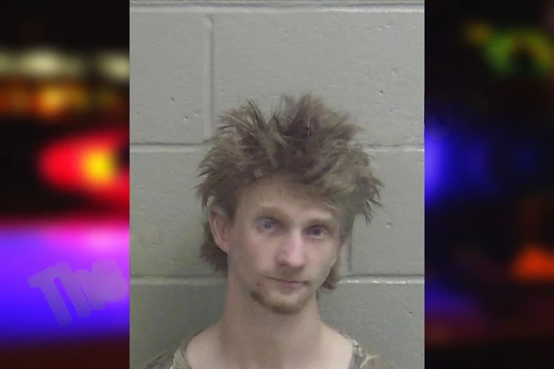 Jonathan Thornton mugshot – Wayne County , Georgia Jonathan Thornton mugshot