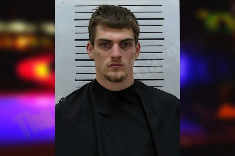 Jordan Emily mugshot – Hart County , Georgia Jordan Emily