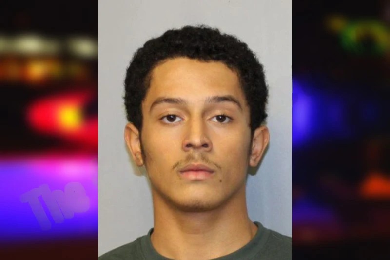 Jordan Mintz Mugshots