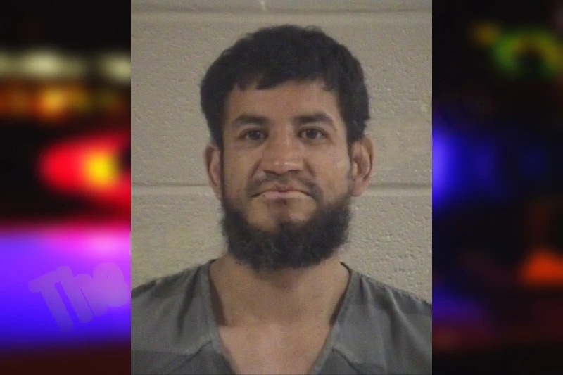 Jorge Perez-Salaises Mugshots