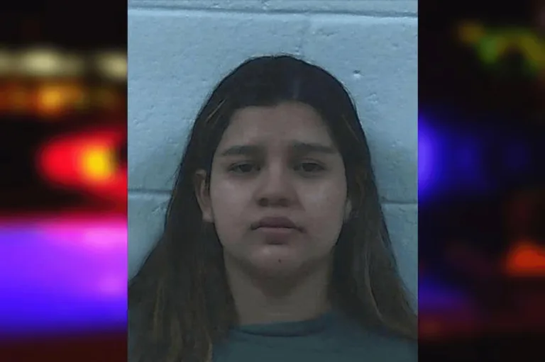 Joshelin Hernandez Flores