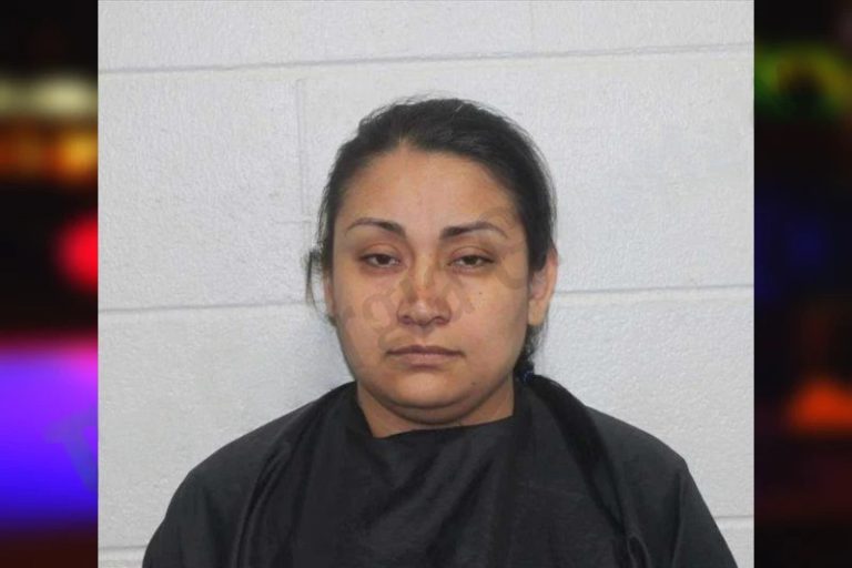 Juanita Moreno Guzman mugshot – Habersham County , Georgia Juanita Moreno Guzman