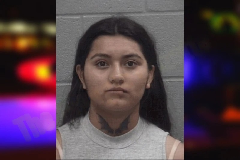 Julia Quiroz Valenzuela mugshot