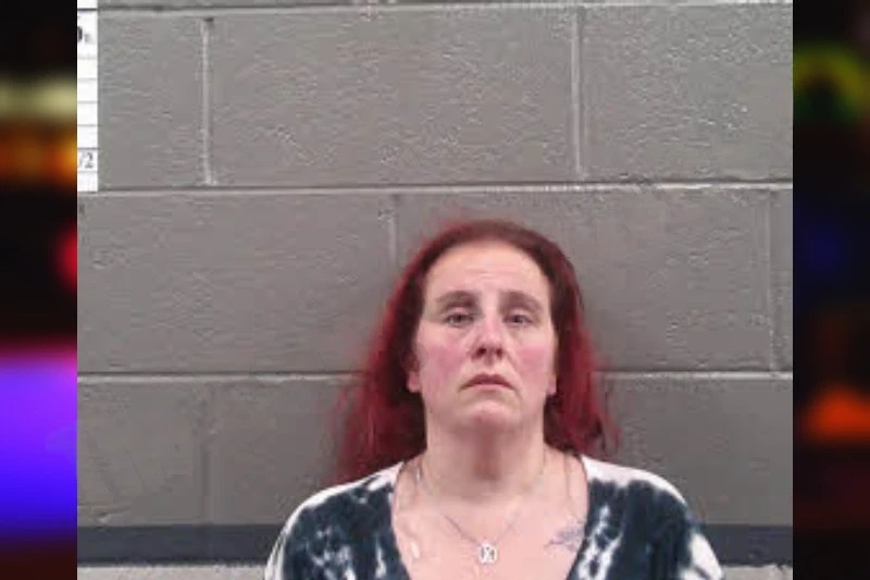 Julie Candiotti Mugshots