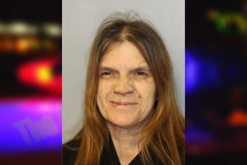 Julie Sherman mugshot