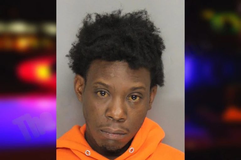 Junior Charles mugshot – Washington County , Georgia Junior Charles