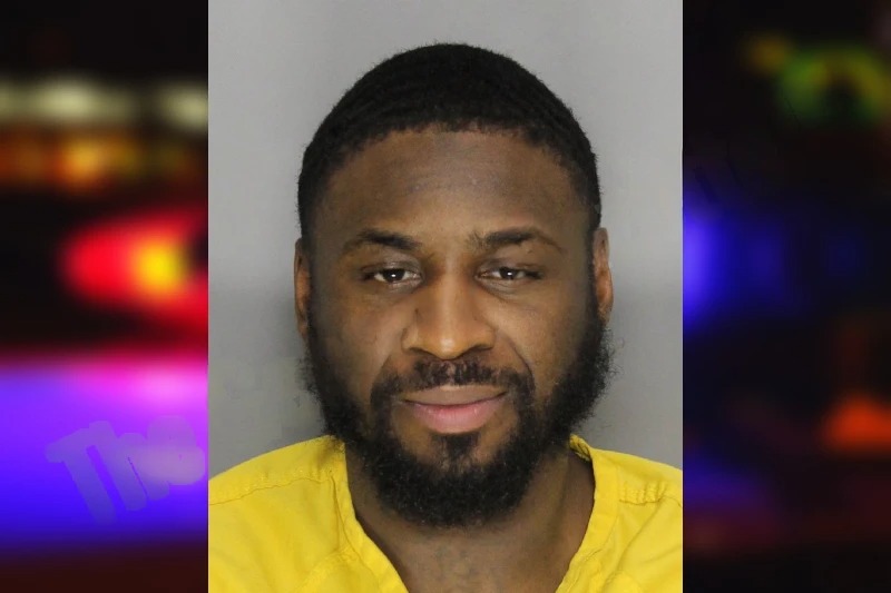 Justine Alexander Mugshots