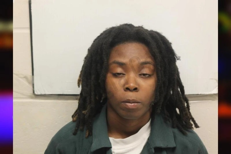 Kamille Hudson Mugshots