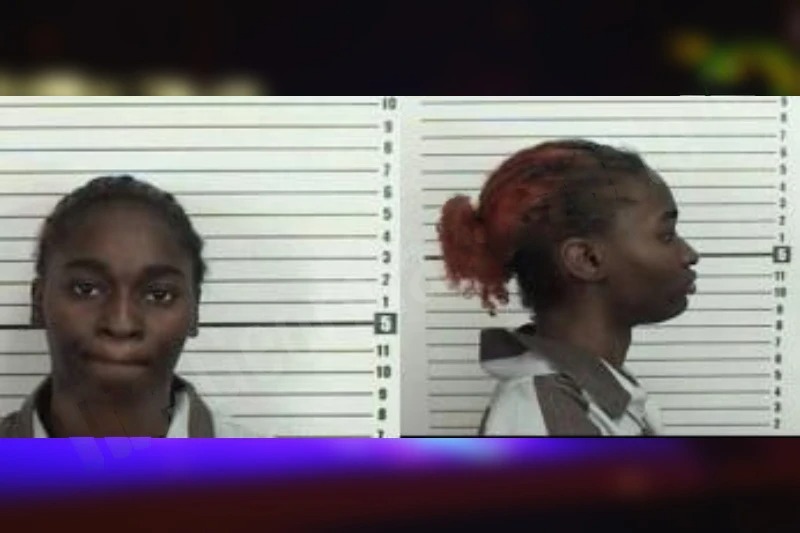 Kamille Thomas Mugshots