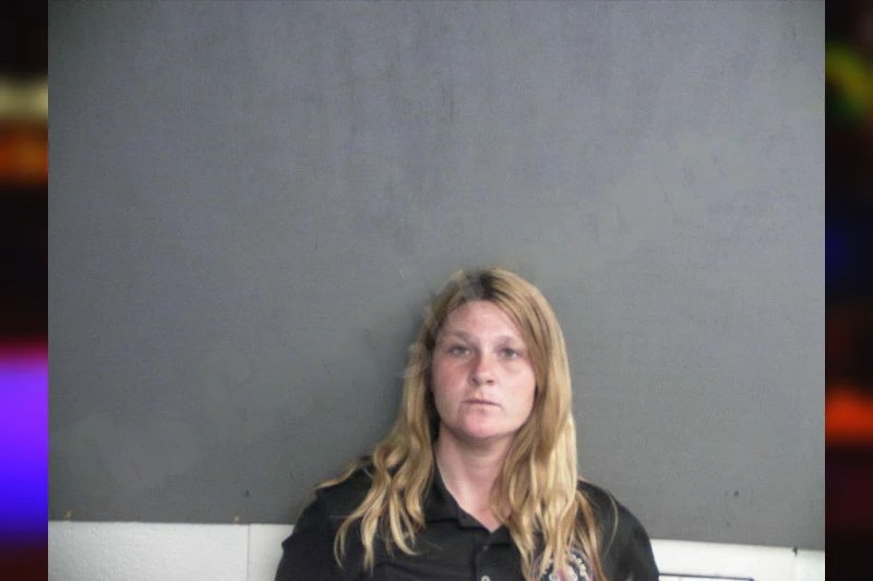 Kandice Scoggins Mugshots