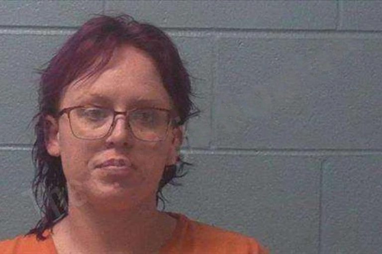 Kara Pilgrim mugshot – Franklin County , Georgia Kara Pilgrim
