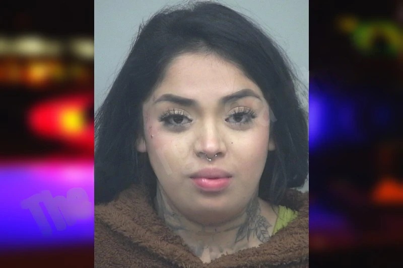 Karen Alvarado mugshot