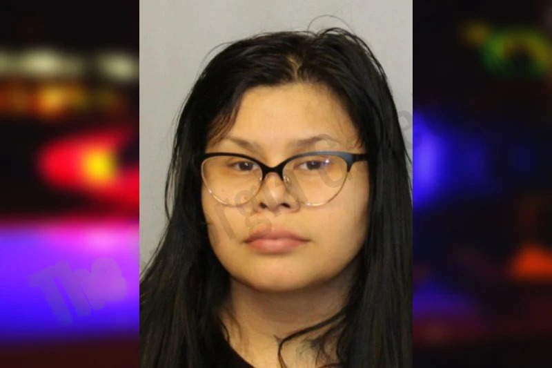 Karen Castellanos Mugshots