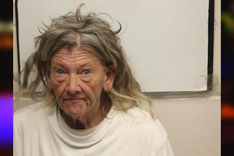 Karen Cooper Mugshots