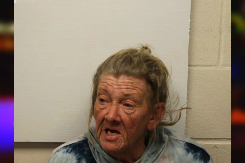 Karen Cooper Mugshots